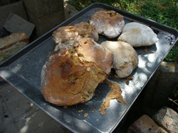 první chleby z venkovní pece na chleba