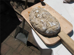 vykynutý chleba na sázecí lopatě