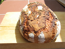 upečené chleby vytažené z pece